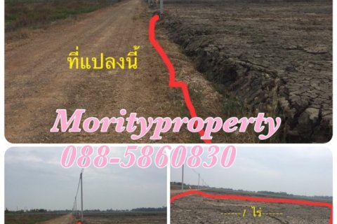 ขายที่ดินคลอง 9 ถมแล้ว ต.บึงทองหลาง อ.ลำลูกกา จ.ปทุมธานี