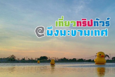 เที่ยวทริปทัวร์ : ปั่นจักรยาน บึงมะขามเทศ หนอกจอก