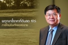 พฤกษาชี้ราคาที่ดินลด 10% ภาษีใหม่บีบเจ้าของเร่งขาย
