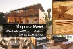 ลีโอวูด เปิดตัว iWood ไม้ที่เหนือกว่า..รุ่นไม้ใช้ภายนอกกันปลวก ในงานบ้านและสวนแฟร์ 58