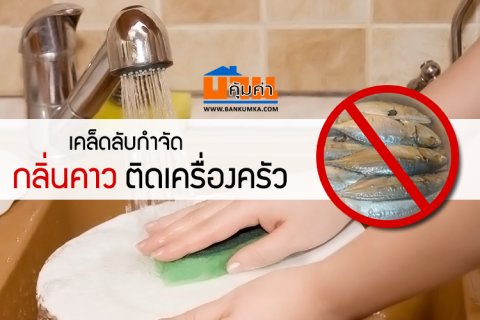 เคล็ดลับกำจัด กลิ่นคาว ติดเครื่องครัว
