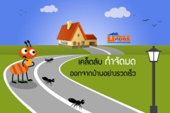 เคล็ดลับ กำจัดมด ออกจากบ้านอย่างรวดเร็ว