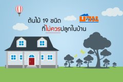 ต้นไม้ 19 ชนิดที่ไม่ควรปลูกในบ้าน