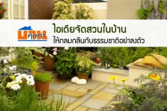 ไอเดียจัดสวนในบ้าน ให้กลมกลืนกับธรรมชาติอย่าลงตัว