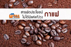สารพัดประโยชน์ กาแฟ ไม่ได้มีแค่แก้ง่วง