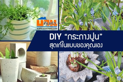 DIY กระถางปูน สุดเก๋ในแบบของคุณเอง