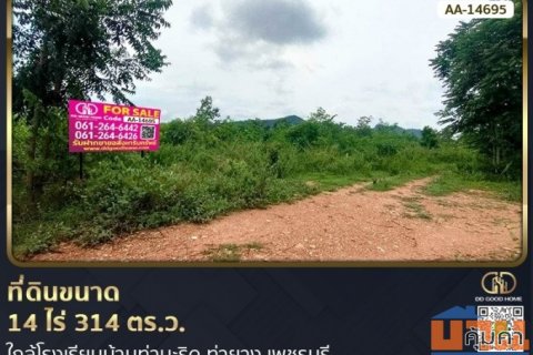 ที่ดินขนาด 14 ไร่ 314 ตร.ว. ใกล้โรงเรียนบ้านท่ามะริด ท่ายาง เพชรบุรี