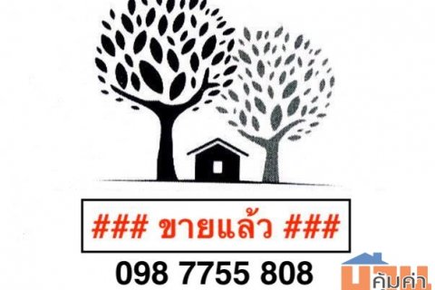 ขายที่ดิน 171 ไร่ ถนนมิตรภาพ เขาใหญ่  ปากช่อง  098 7755 808