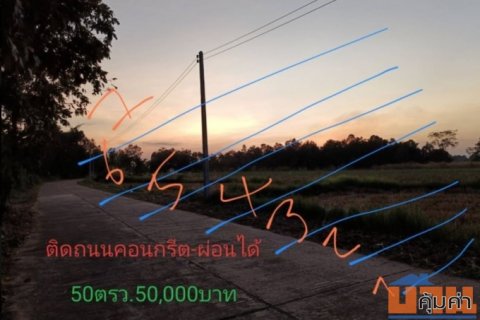 ขายที่ดินทำบ้านราคาถกๆ ขนาด50ตรว.