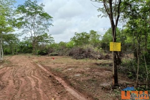 ขายที่ดิน100 ตรว. อ.เมือง จ.หนองบัวลำภู