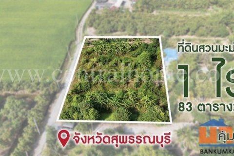 ที่ดินสวนมะม่วง โพธิ์พระยา เมืองสุพรรณบุรี ใกล้ตัวเมือง ราคาถูกมาก