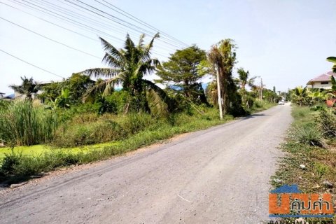 ขายที่ดิน ซอยแบนชะโด ถนนประชาร่วมใจ แขวงทรายกองดินใต้ เขตคลองสามวา กรุงเทพมหานคร