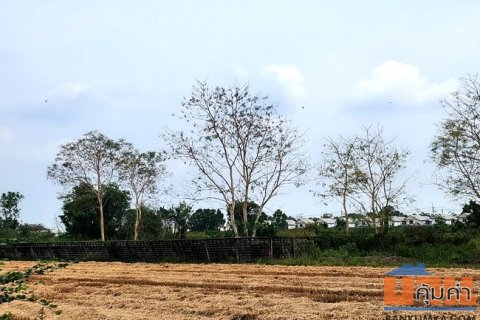 ขายที่ดิน คลอง 5 ซอยคลองห้าตะวันออก 10 ถนนคลองหลวง อำเภอคลองหลวง ปทุมธานี