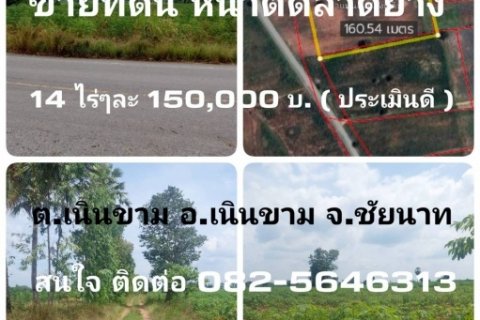 ขายที่ดิน/หน้าติดลาดยาง/หน้ากว้าง/ราคาประเมินดี มีบ่อพักน้ำ