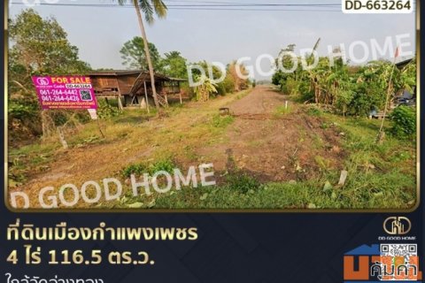 ที่ดินเมืองกำแพงเพชร 4 ไร่ 116.5 ตร.ว. ใกล้วัดอ่างทอง