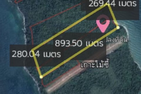 ขาย ที่ดิน (โฉนดครุฑแดง) 138 ไร่ 1 งาน 8 ตร.วา (บนเกาะไม้ซี้)