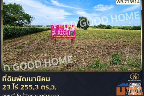 ที่ดินพัฒนานิคม 23 ไร่ 255.3 ตร.ว. ลพบุรี ใกล้วัดราษฎร์มงคล