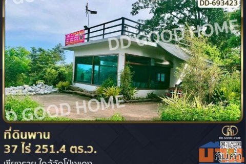 ที่ดินพาน 37 ไร่ 251.4 ตร.ว. เชียงราย ใกล้วัดโป่งแดง