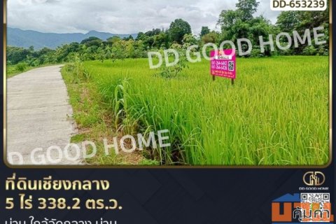 ที่ดินเชียงกลาง 5 ไร่ 338.2 ตร.ว. น่าน ใกล้วัดกลาง น่าน