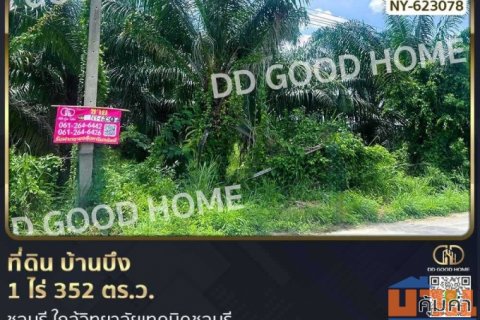 ที่ดิน บ้านบึง 1 ไร่ 352 ตร.ว. ชลบุรี ใกล้วิทยาลัยเทคนิคชลบุรี