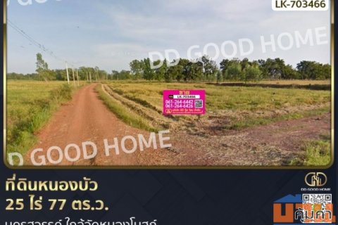 ที่ดินหนองบัว 25 ไร่ 77 ตร.ว. นครสวรรค์ ใกล้วัดหนองโบสถ์