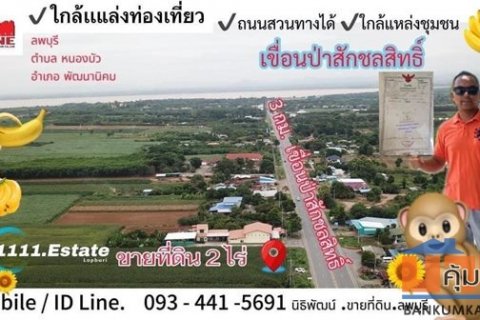 ขายที่ดินลพบุรี 2 ไร่ หน้ากว้าง 30 ม. เหมาะทำธุรกิจ หน้าเขื่อนป่าสักชลสิทธิ์ลพบุรี โทร 0985136286