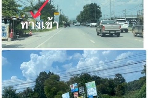 ขายที่ดินราคาต่ำกว่าตลาด  อยู่หลังตลาดรวมโชค อำเภอสันทราย จังหวัดเชียงใหม่