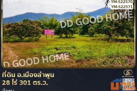 ที่ดิน อ.เมืองลำพูน 28 ไร่ 301 ตร.ว. ลำพูน