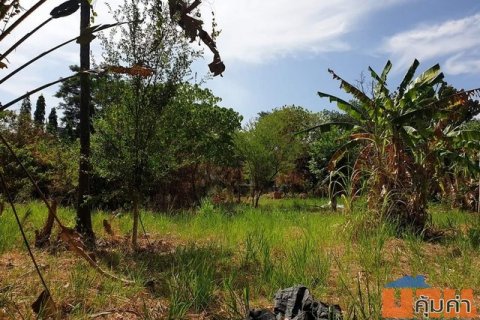 Land for sale within walking distance to Rawai beach