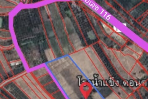 ขายที่ดิน 18 ไร่ 15 ล้านบาท ต.แม่แรง ป่าซาง ลำพูน โทร.089-9544798 ค่ะ (Land for sale, 29,580 square meters,Mae Raeng sub