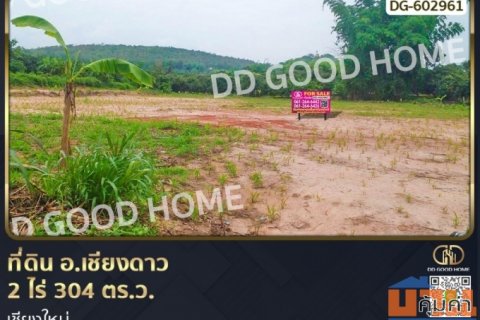 ที่ดิน อ.เชียงดาว 2 ไร่ 304 ตร.ว. เชียงใหม่