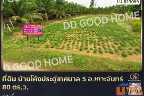 ที่ดิน บ้านโค้งประดู่เทศบาล 5 อ.เกาะจันทร์ 80 ตร.ว. ชลบุรี