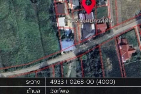 ขาย บ้านเดี่ยว หลังร้านครัวพี่นัย วังพงก์ 99 ตรม. 0 ไร่ 1 งาน 54.3 ตร.วา