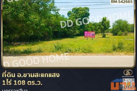 ที่ดิน อ.ขามสะแกแสง 1ไร่ 108 ตร.ว. นครราชสีมา