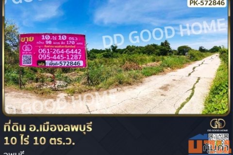 ที่ดิน อ.เมืองลพบุรี 10 ไร่ 10 ตร.ว. ลพบุรี