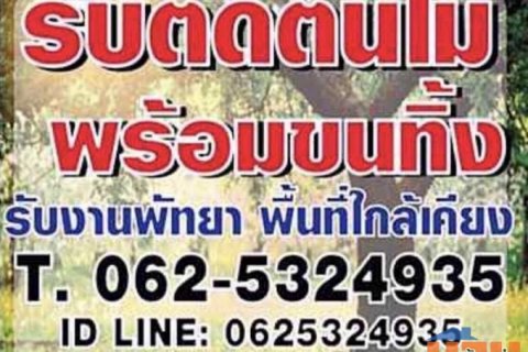 รับตัดต้นไม้ ในเขตเมืองพัทยา อ.บางละมุง พื้นที่ใกล้เคียง รับตัดต้นไม้ รับตัดกิ่งไม้ รับตัดหญ้า รับกำจัดวัชพืช รับฉีดยาฆ่