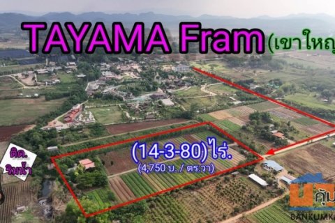 ขายที่ดินริมน้ำ | หลังTayama Farm Khaoyai (วิวลำธาร+เขา) 14-3-80 ไร่.(ไร่ล่ะ 1.9ลบ.) ต.คลองม่วง อ.ปากช่อง จ.นครราชสีมา.