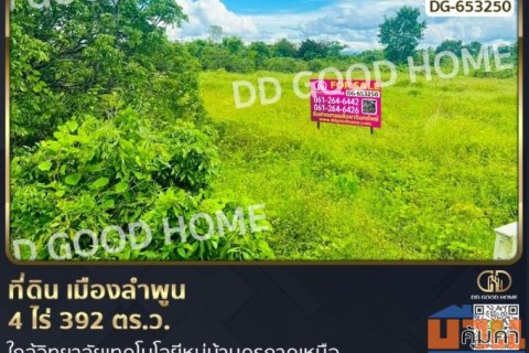 ที่ดิน เมืองลำพูน 4 ไร่ 392 ตร.ว. ใกล้วิทยาลัยเทคโนโลยีหมู่บ้านครูภาคเหนือ