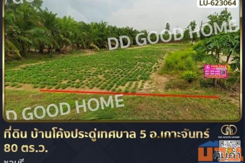 ที่ดิน บ้านโค้งประดู่เทศบาล 5 อ.เกาะจันทร์ 80 ตร.ว. ชลบุรี