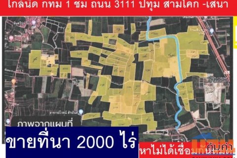 ขายที่นาอยุธยาขนาดใหญ่ 2000 ไร่ บางไทร ใกล้กทม. 在Na Muang Thai出售 所有中国商人和投资者。首都曼谷附近有2000莱的大稻田待售 (700 - 800 英亩)，距离70公里，