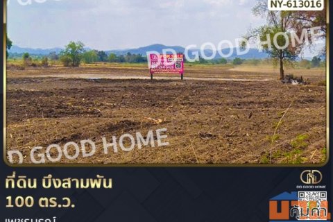 ที่ดิน บึงสามพัน 100 ตร.ว. เพชรบูรณ์