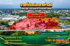 ขายที่ดินผืนใหญ่ 33 ไร่ 3 งาน 46 ตร.ว. แปลงสวย ทำเลดี พนัสนิคม ชลบุรี เหมาะสร้างบ้าน-ลงทุน