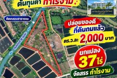 ขายที่ดินเมืองแปดริ้ว ถมแล้ว 37 ไร่ หน้าติดถนน-หลังติดคลอง ทำเลทองศูนย์บางคล้า ฉะเชิงเทรา