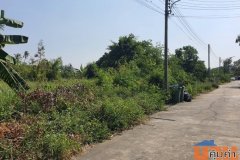 ที่ดินแปลงสวย 210 ตร.ว. หน้ากว้าง ทำเลสงบ เหมาะสร้างบ้านในฝัน