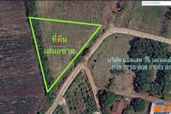 ขายที่ดิน 576 ตารางวา พญาเย็น ปากช่อง ใกล้ตลาดมวกเหล็ก 1 กิโลเมตร 098 7755 808