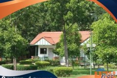 ขาย Resort & Camp + Activity area เนื้อที่ 53 ไร่