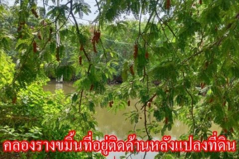 ขายที่ดินติดคลองธรรมชาติ 4 ไร่ 2 งาน 76 ตรว.   ใกล้สถานีรถไฟฟ้าสายสีม่วงตอนใต้ , ใกล้ทางด่วนกาญจนาภิเษก ประชาอุทิศ 76