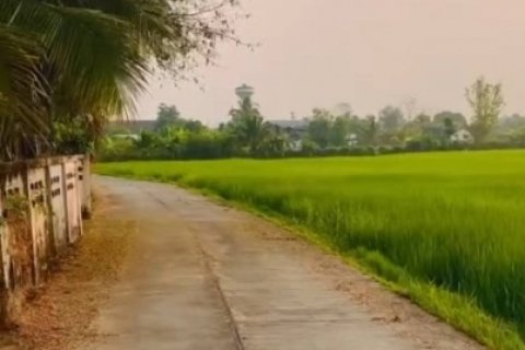 ขายที่ดินแปลงสวย ทำเลดี ตำบลสันกลาง อำเภอพาน จังหวัดเชียงราย เดินทางสะดวก ใกล้ถนนสายหลัก
