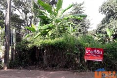 ขายที่ดินเปล่าติดถนนคอนกรีต เข้า-ออกสะดวก มีน้ำประปาและไฟฟ้าเข้าถึง
