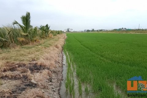 ขายด่วน ที่ดิน 12-2-75 ไร่  เป็นพื้นที่สีม่วง ต.คลองเปรง อ.เมือง ฉะเชิงเทรา